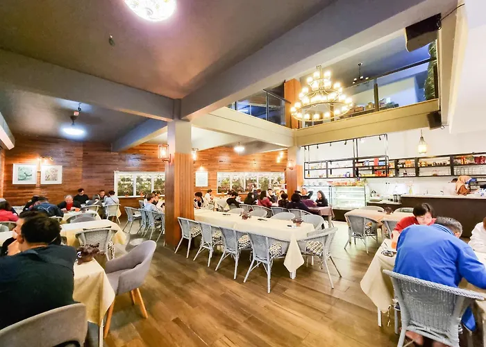 Mossy Forest Family Retreat Ii, 2-8 Pax, Cameron Highlands