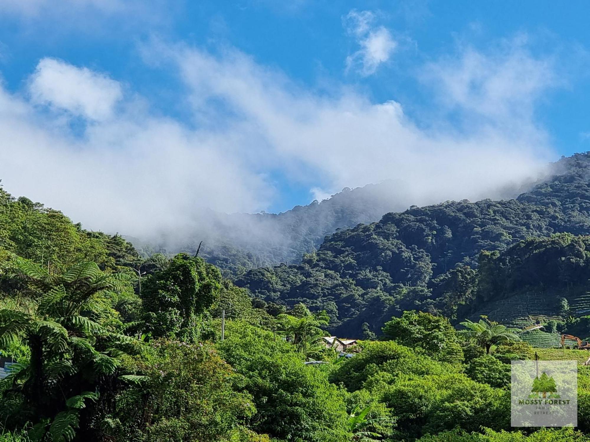 Apartment Mossy Forest Family Retreat Ii, 2-8 Pax, Cameron Highlands
